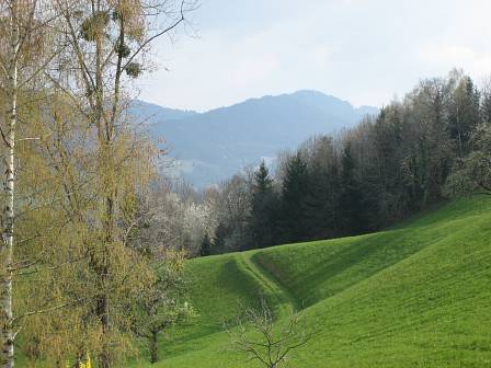 Blick vom Haus nach Norden