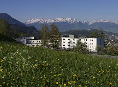 Haus mit Frühlingswiese