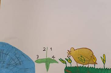 Leon Wust | Foto: privat